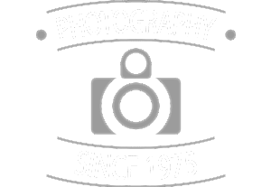 brand6